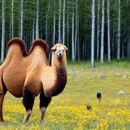 Картинка сгенерирована нейросетью Шедеврум по запросу Тайга и верблюд.