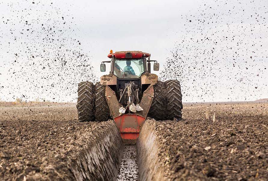 Источник: Oticki / Shutterstock