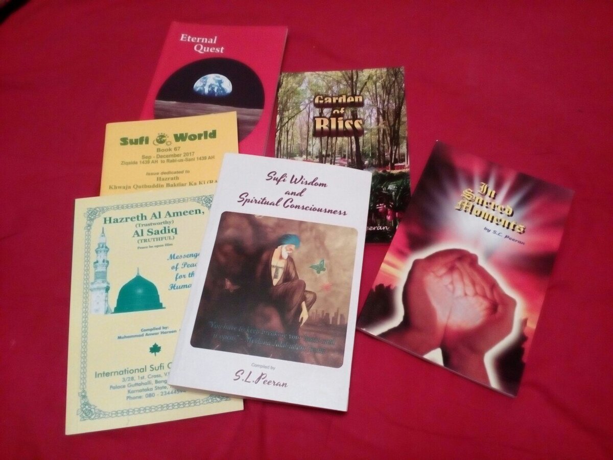 Книги, которые подарил мне господин Пиран