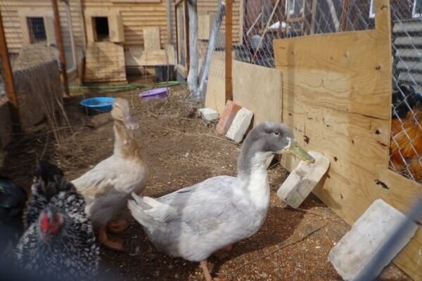 Научные исследования