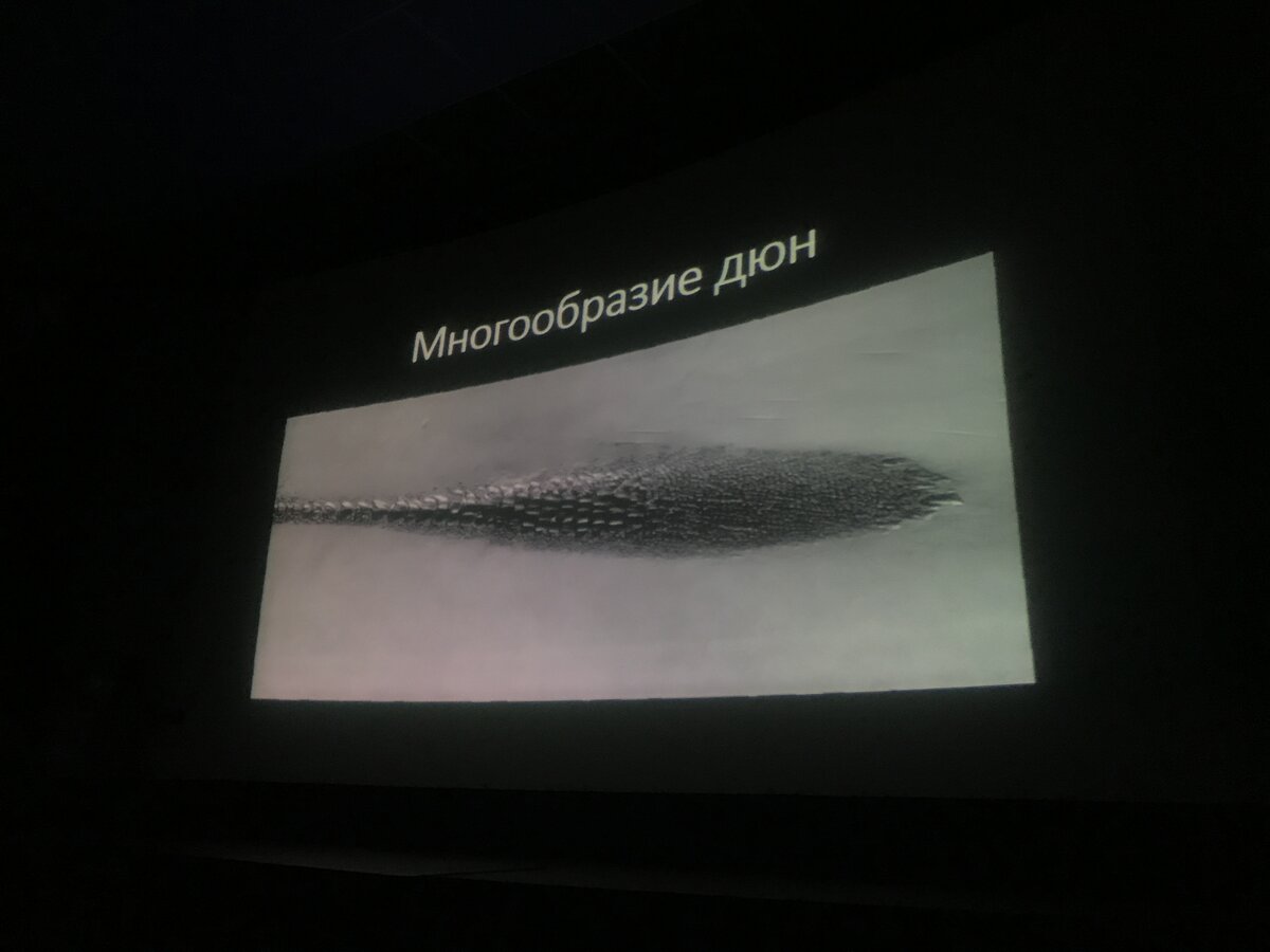 На Марсе ветер может строить фантастические структуры из песка. Эти образования можно принять за следы червя из Дюны.