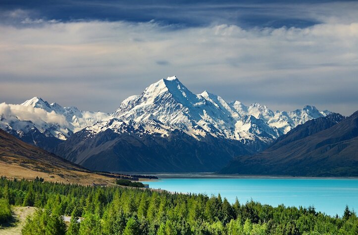 New Zealand all White