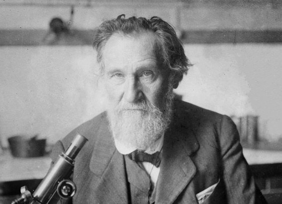 Илья Мечников, фото: Wikipedia