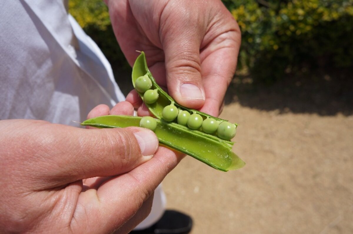 Фото: Кирилл Ершов, "Вечерняя Москва"