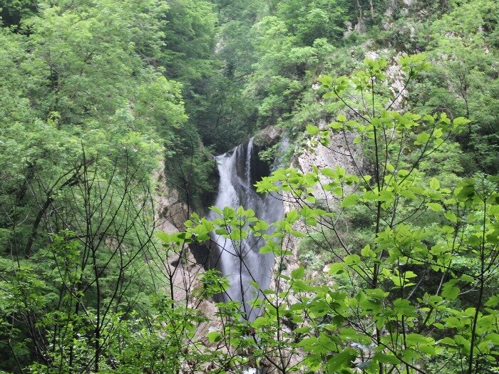 Источник: urpsosochi.ru 