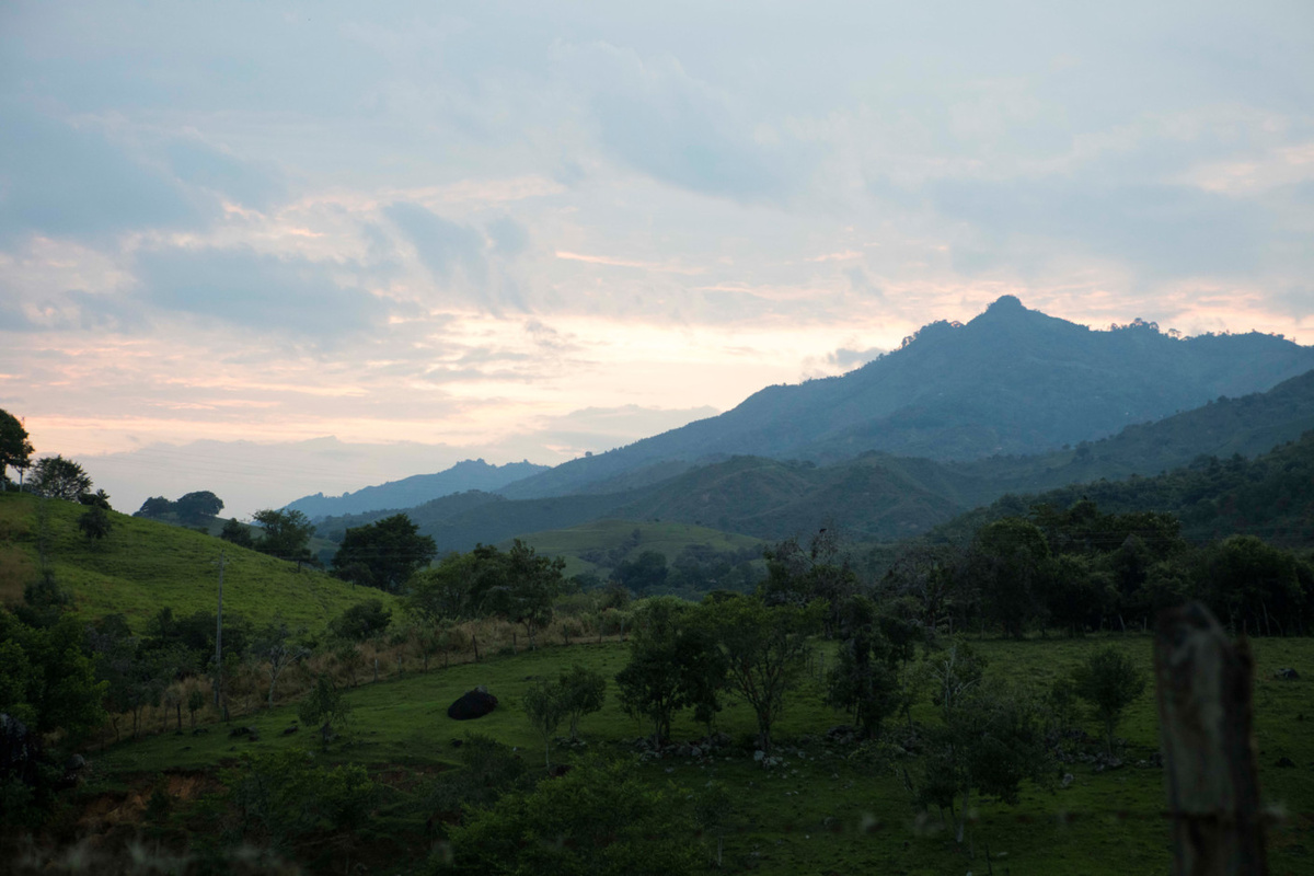 Рудник Coodmilla находится в отдаленном горном районе Колумбии, в окружении пальм и какао-деревьев.” 