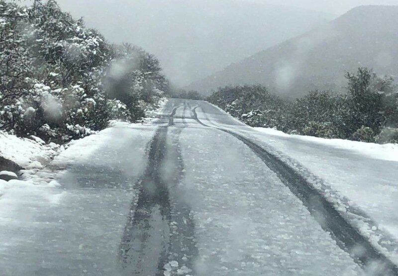 Фото: kittyviljoen