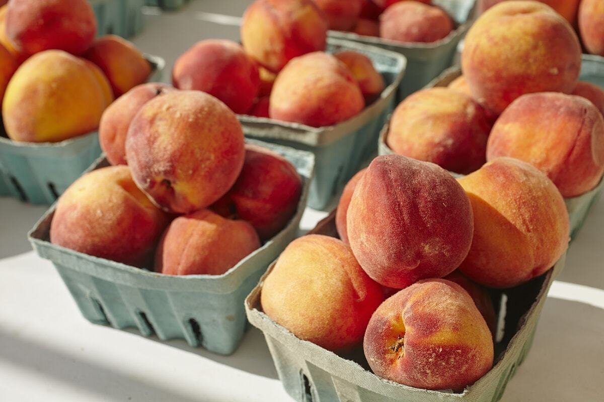 Фото из сети интернет