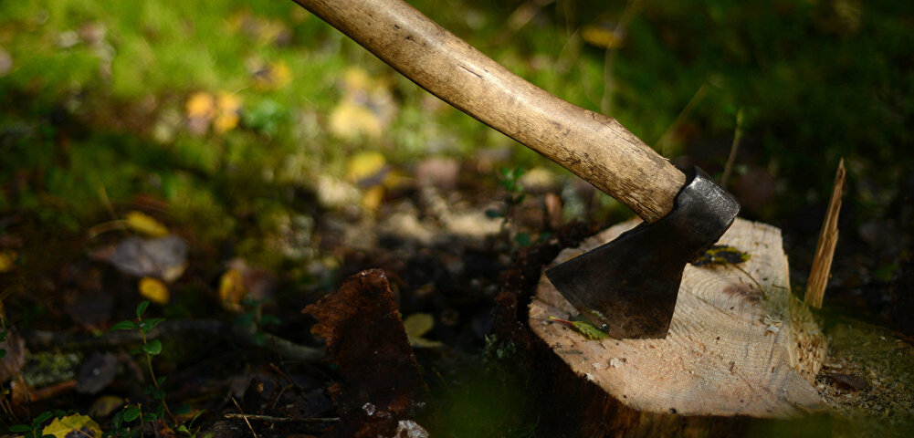 На заседании комиссии в Рийгикогу рассмотрят коллективное обращение, посвященное защите эстонского леса. Baltnews.ee обсудил с членом правления партии "Зеленые Эстонии" Олевом-Андресом Тинном, с какими проблемами столкнется страна, если не предпримет меры по ограничению вырубки.