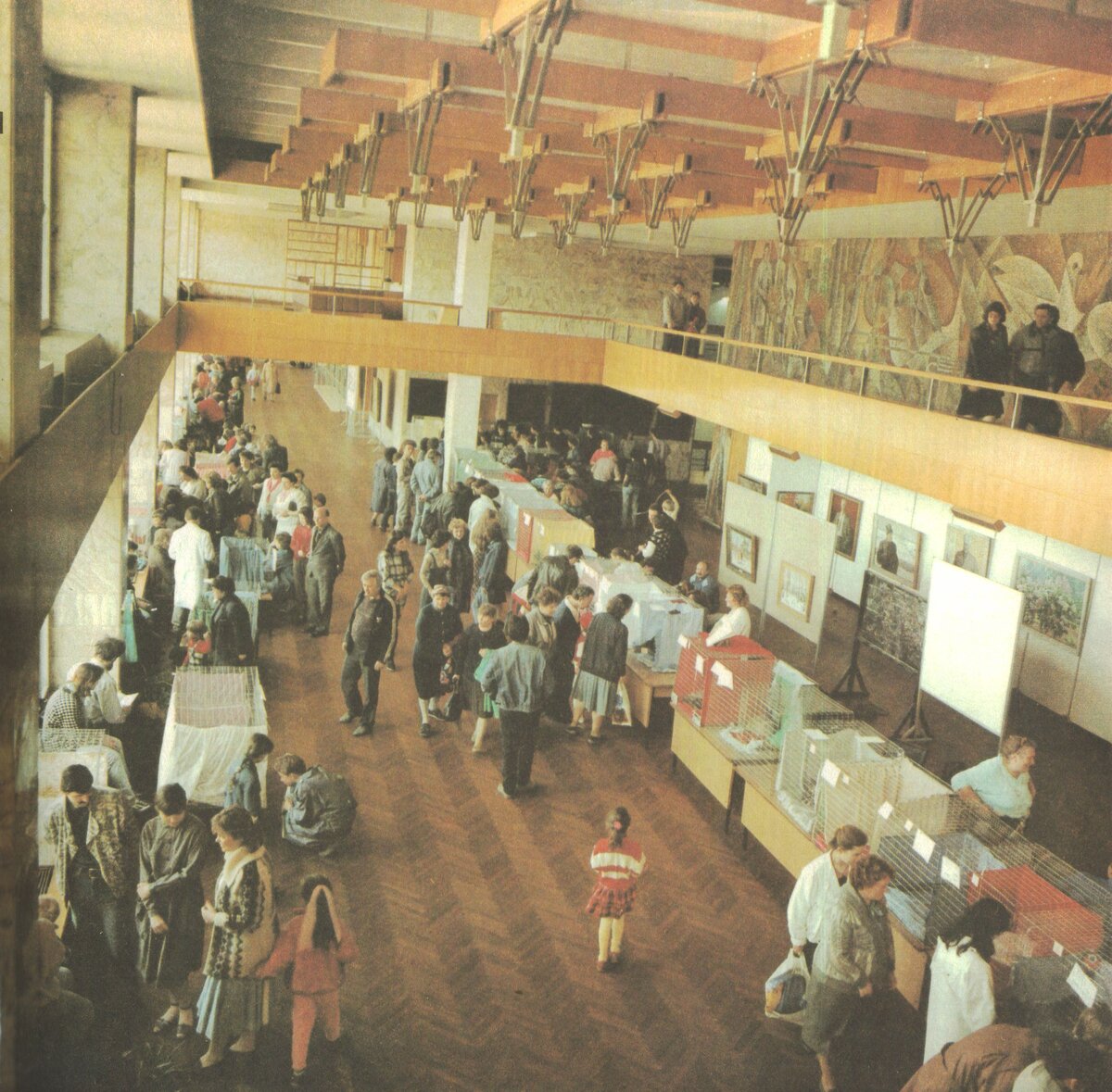 А вот и сама выставка кошек. Животные в клетках радуют своим видом посетителей, а хозяева, вероятно, надеются получить призовые места.