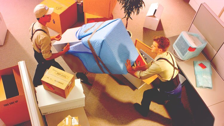 Фото - социальные сети