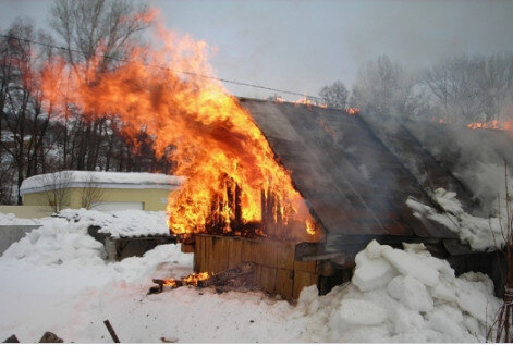 фото из Яндекс