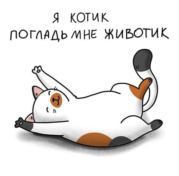 Я котик погладь мне животик