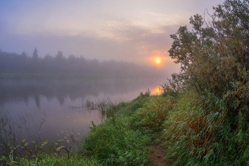 Рыбалка - это не просто хобби, увлечение или привычка. Для истинных ценителей - это общение с природой и даже образ жизни! Для настоящего рыбака приобретение новеньких рыболовных снастей можно сравнить с женским шопингом! Да-да, именно так! Для него не составит ни малейшего труда проснуться ни свет, ни заря и "укатить" за несколько сотен километров от дома, в надежде и ожидании поимки того самого трофея! А уж когда добрались до места назначения, подкормили и закинули удочки, наступает тот самый истинный момент, который не описать никакими словами! И в эти мгновения не страшны ни комары, ни дождь, ни холод, да вообще ничего, лишь бы поплавок начал "плясать"! Наверняка, у заядлых любителей этого хобби, читая данную статью, как модно сейчас говорить "залетали бабочки в животе"! И надеюсь, что в дальнейшем, читая мои статьи, Вас будут посещать ничуть не хуже ощущения и воспоминания, от проведенного времени на берегу водоема! Подписывайтесь, ставьте лайки, оставляйте комментарии! Будет интересно, весело и познавательно! Спасибо!