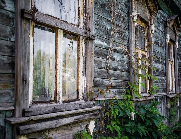 Фото: pixabay.com