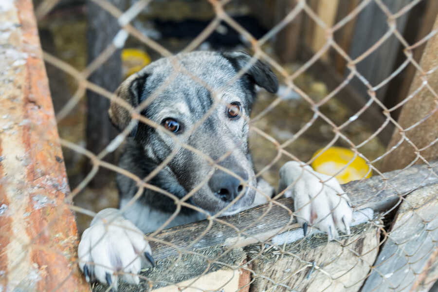 Фото Дениса Мукимова
