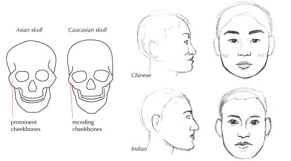 нормальное строение черепа у младенца. череп нордической расы. коррекция формы головы при помощи прически. формы черепа и лица. долихоцефалия нордическая.