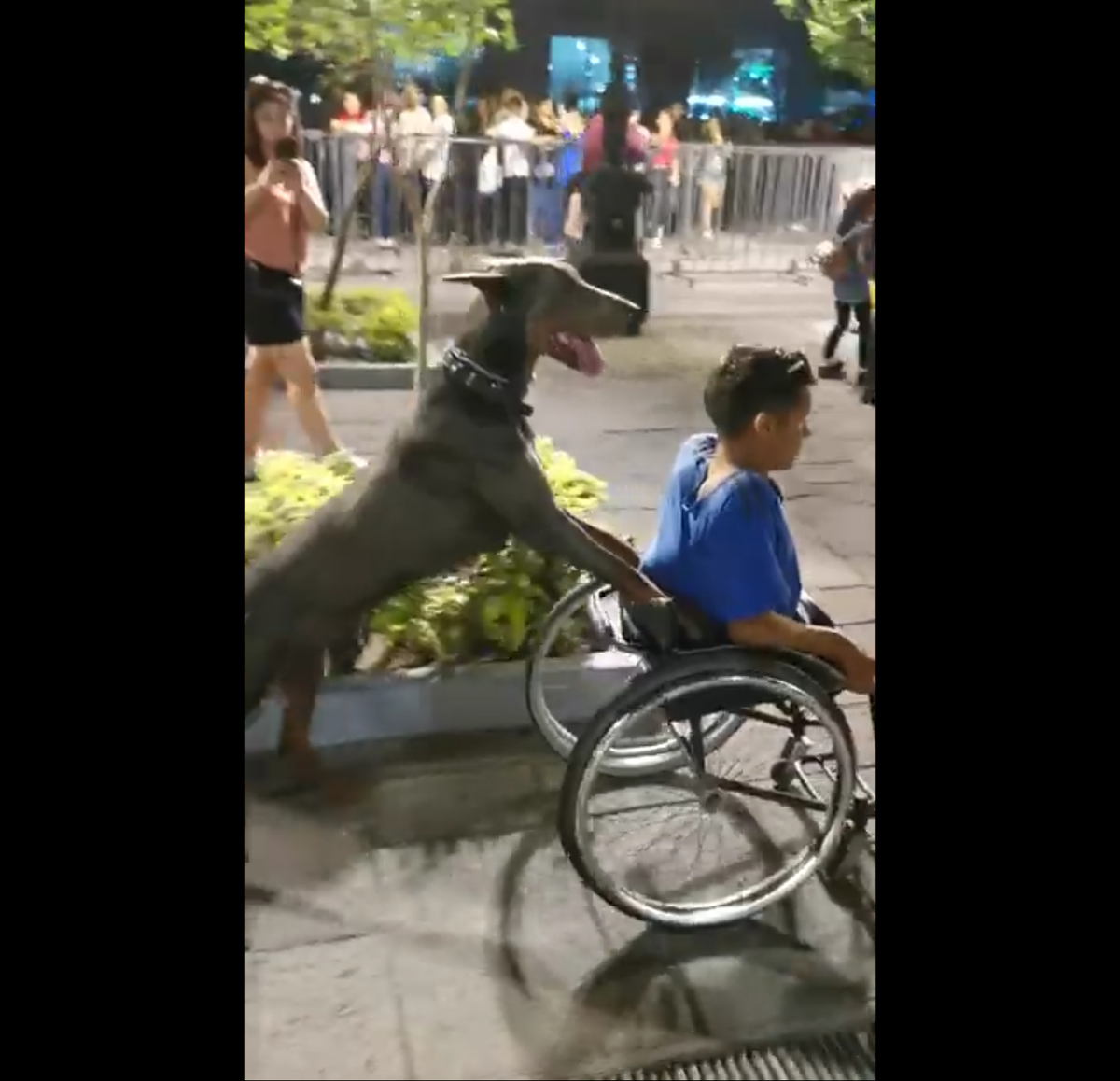 Кадр видео youtube.com/ViralHog