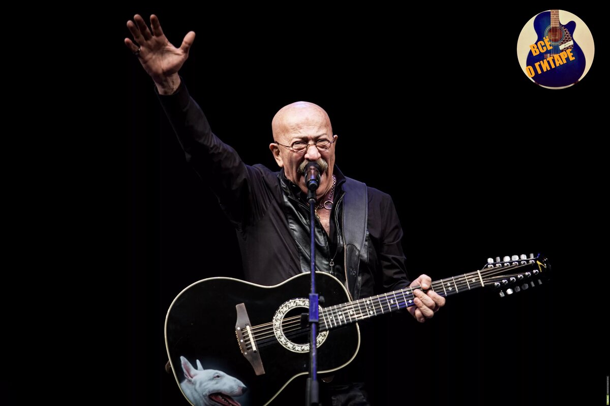 Розенбаум с одной из своих гитар периода 2008-2011 гг. Фото с сайта http://sxodim.com