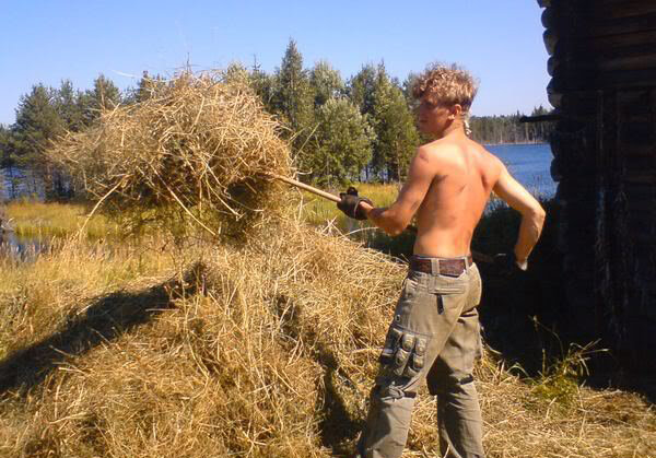 Фото из сервиса Яндекс картинки