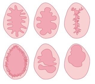50 оттенков гимена
