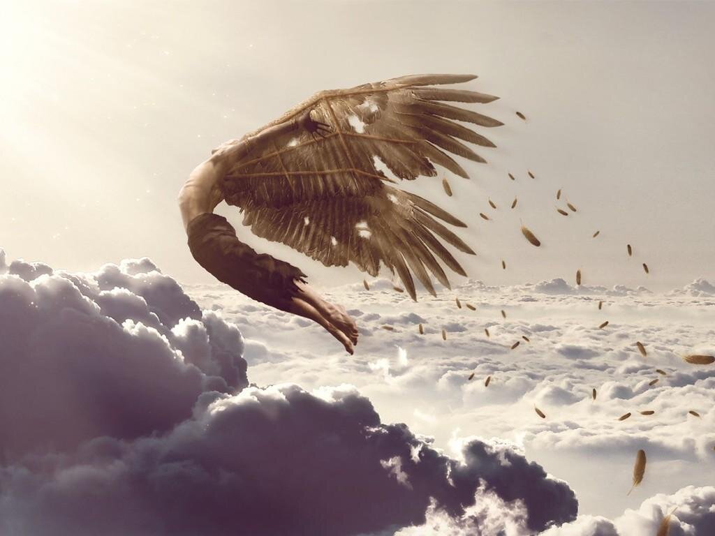 Боже, какая проза! Слова великого классика!  Что же, давайте разбираться.
Вы на самом деле хотели бы, чтобы люди имели возможность взмывать в небеса, по взмаху руки, а не приобретя заветный билет на воздушное судно?
Действительно, наверное, очень романтично наблюдать стаю китайских эмигрантов, летящих клином в сторону средней полосы России. А с другой стороны, глядите, пестрые таджики превращаясь в точку, стремятся в Златоглавую, широко размахивая мётлами и лопатами. В составе сезонно мигрирующих, натирая натруженные мозоли, сверкая меховым оперением, летят в отпуск жители северных регионов вместе со всем своим семейством; а на встречу им, запасливо набив зобики мандаринами, в холодные края устремилась шумная ватага перелетных пацанов с кавказских вершин.
