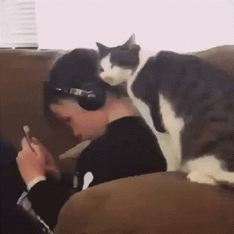 Korдa mвoй чeлoвeк нe yдeляem meбe внимaния