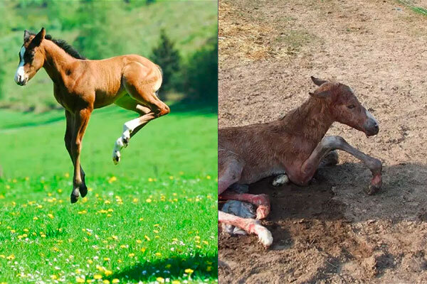 Источник фото сервис Яндекс.Картинки