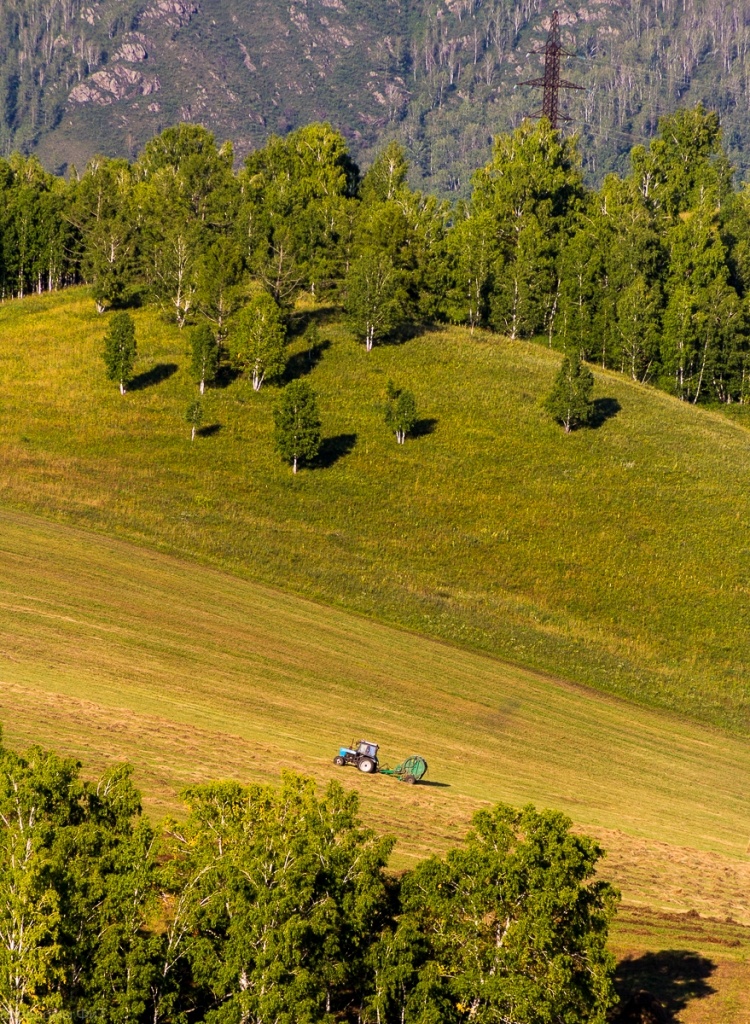 Время покосов