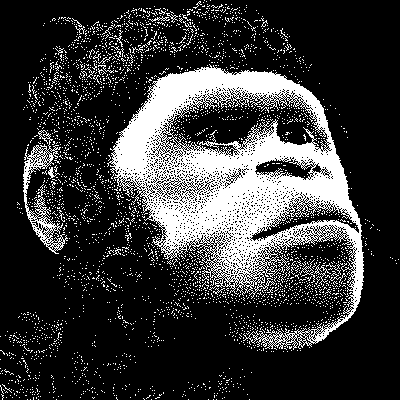 Эксперимент уходит в тупик