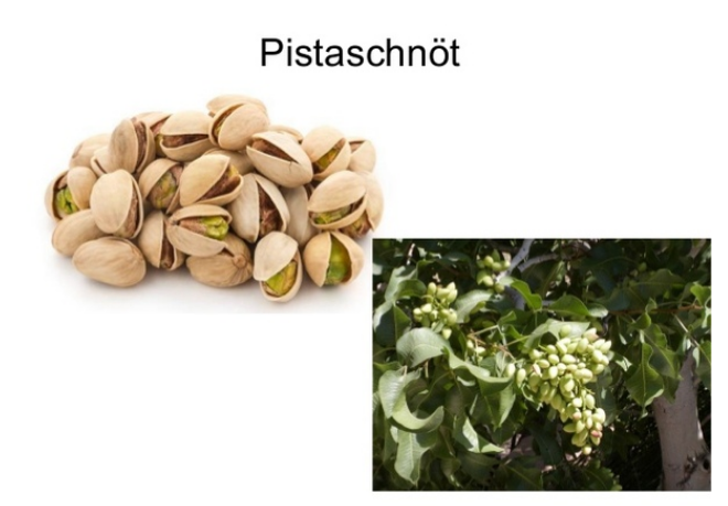 Посты про шведский в VK по тегу #Stacey_шведский_drops