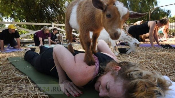 Фото: соцсети