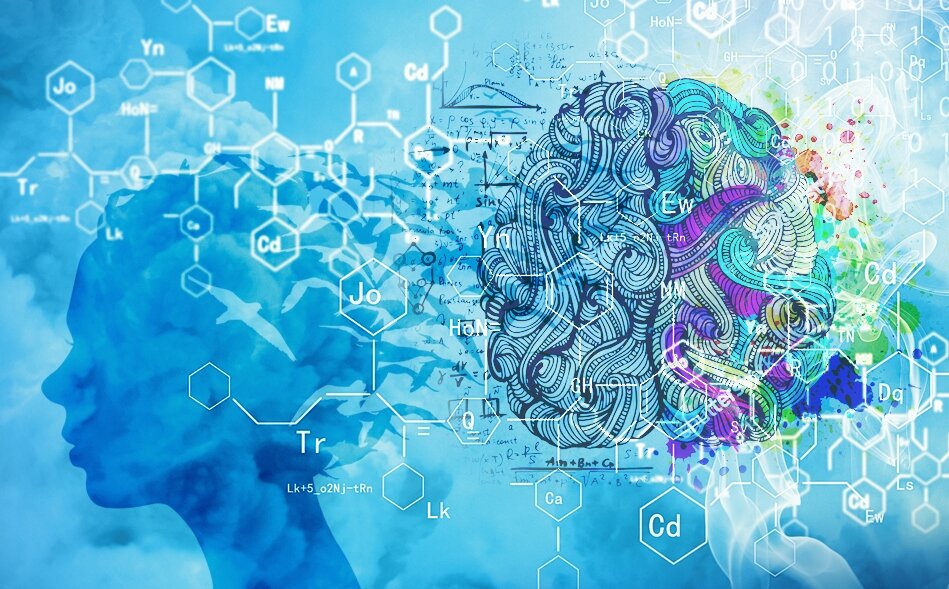 Саммари на книгу «Биология добра и зла» Роберт Сапольски, от kratko.pro 
