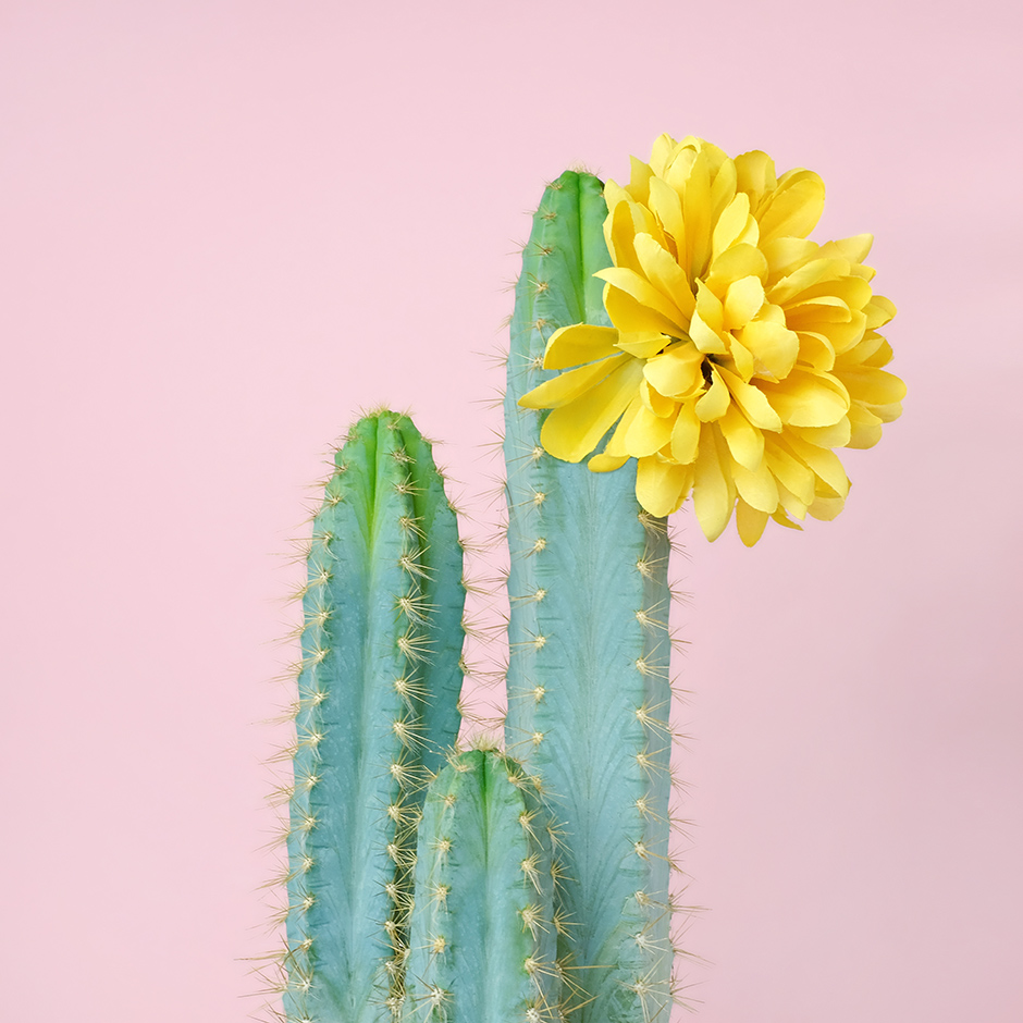 ELLE Decoration