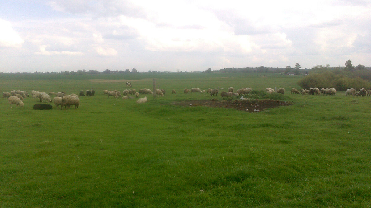 Осталось на сегодняшний день