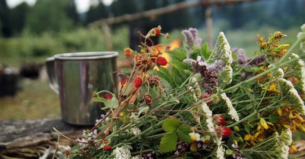 Изображение взято из открытых источников