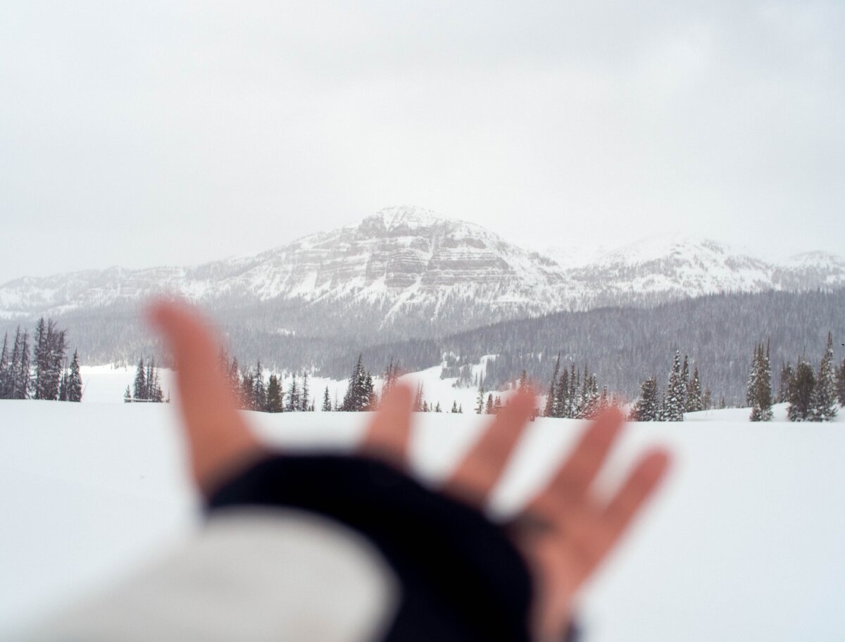 Photo by Don B on Unsplash