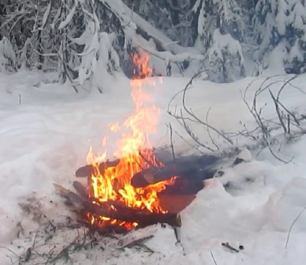 Фото из сети Интернет