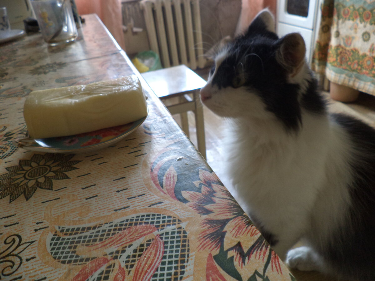 Кукла: "А чего это сыр на меня уставился?"