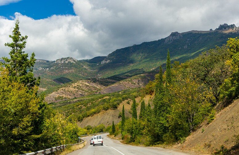 Алуштинская судак