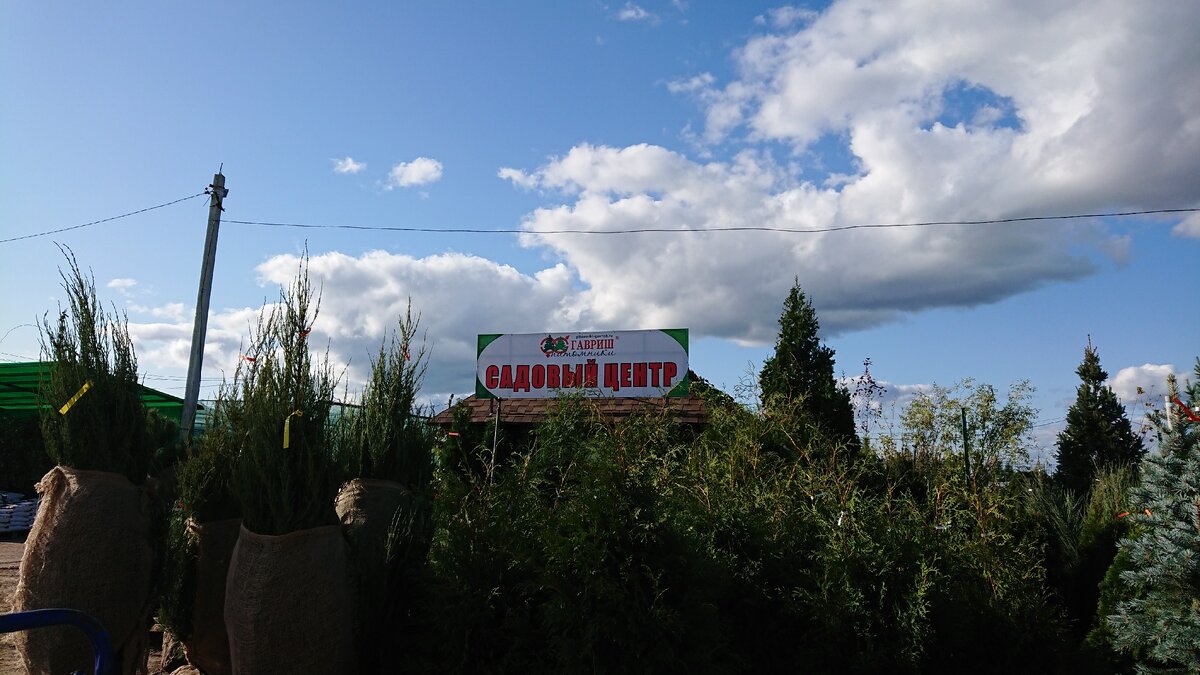 Питомник растений "Гавриш"
