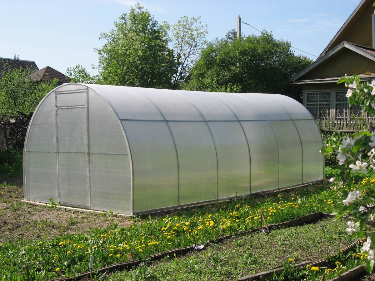 теплица из поликарбоната