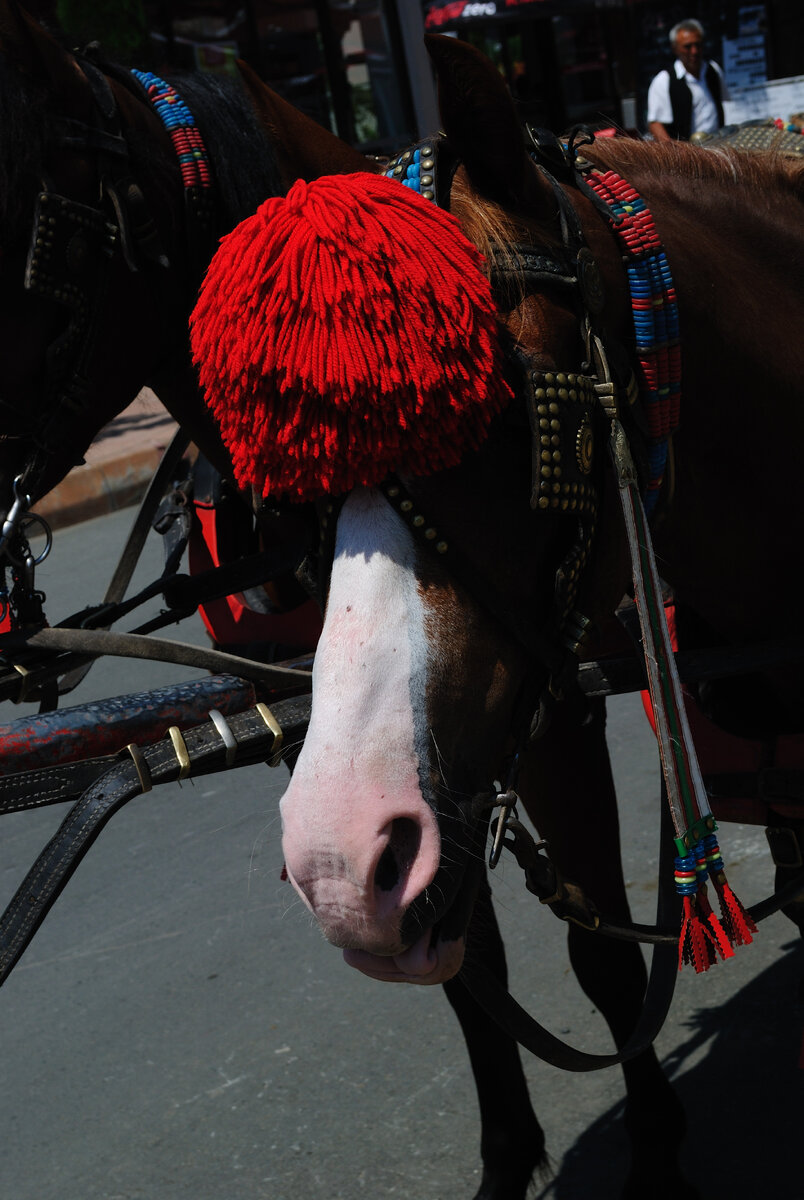 В Солнечном Береге