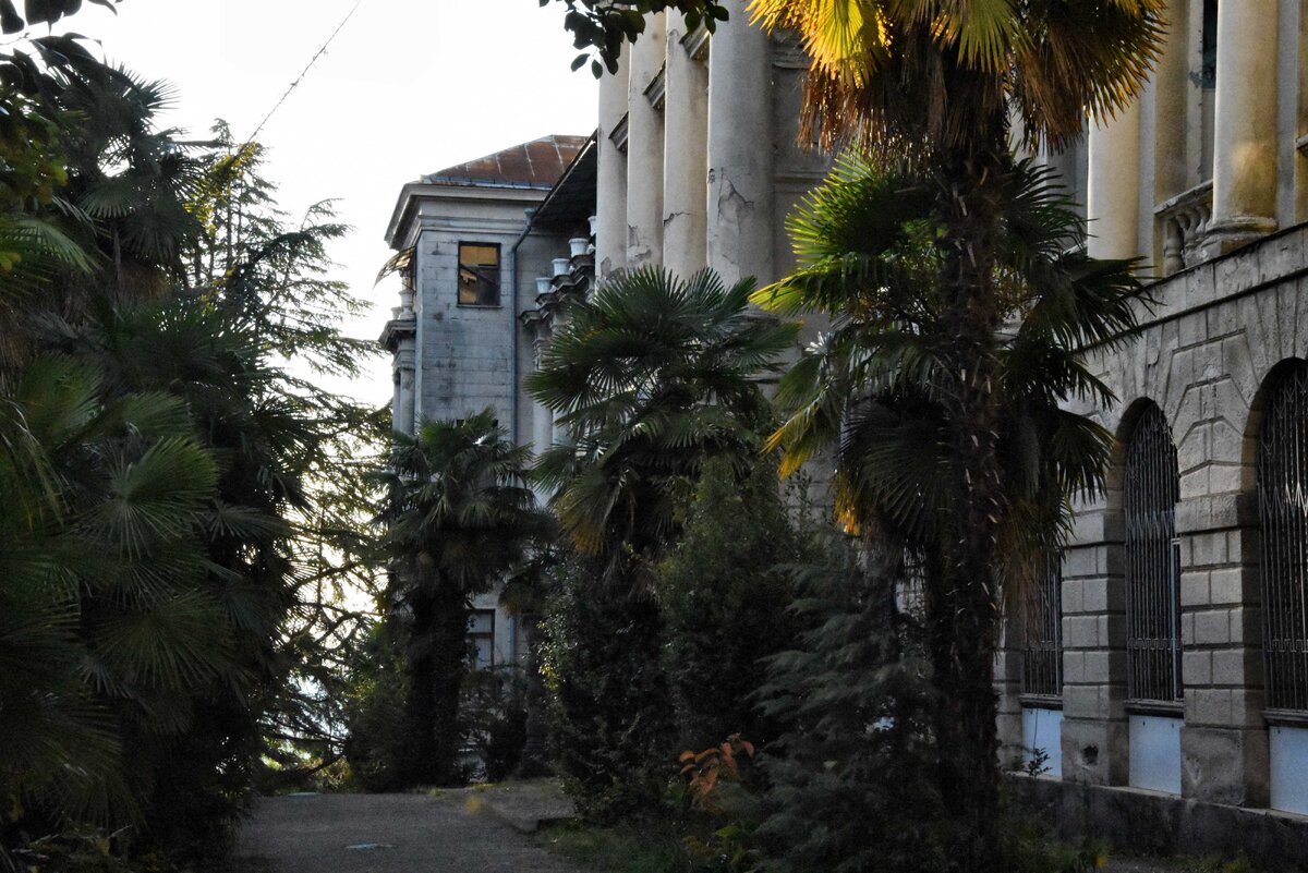 Санаторий Орджоникидзе г Сочи, личное фото
