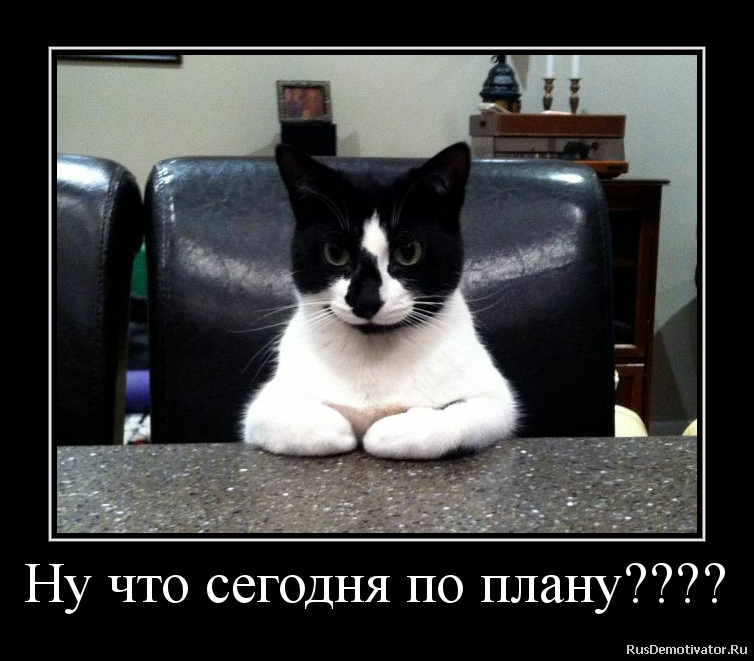 Веселый замысел 5 букв. Шутки про планирование. План юмор. План прикол. Все по плану смешные