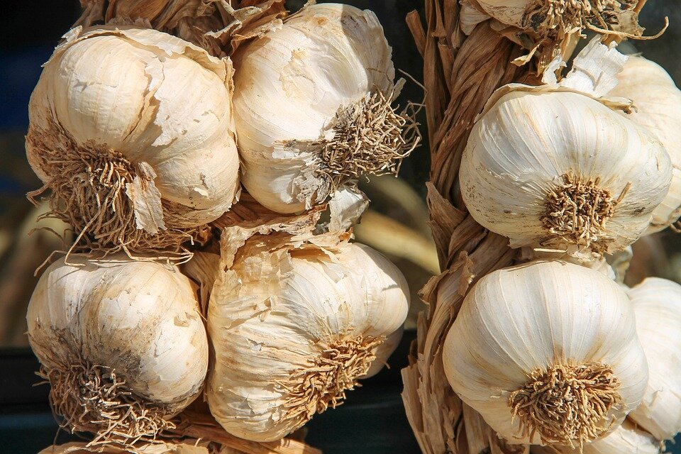 https://cdn.pixabay.com/photo/2018/10/14/18/58/garlic-3747176_960_720.jpg
