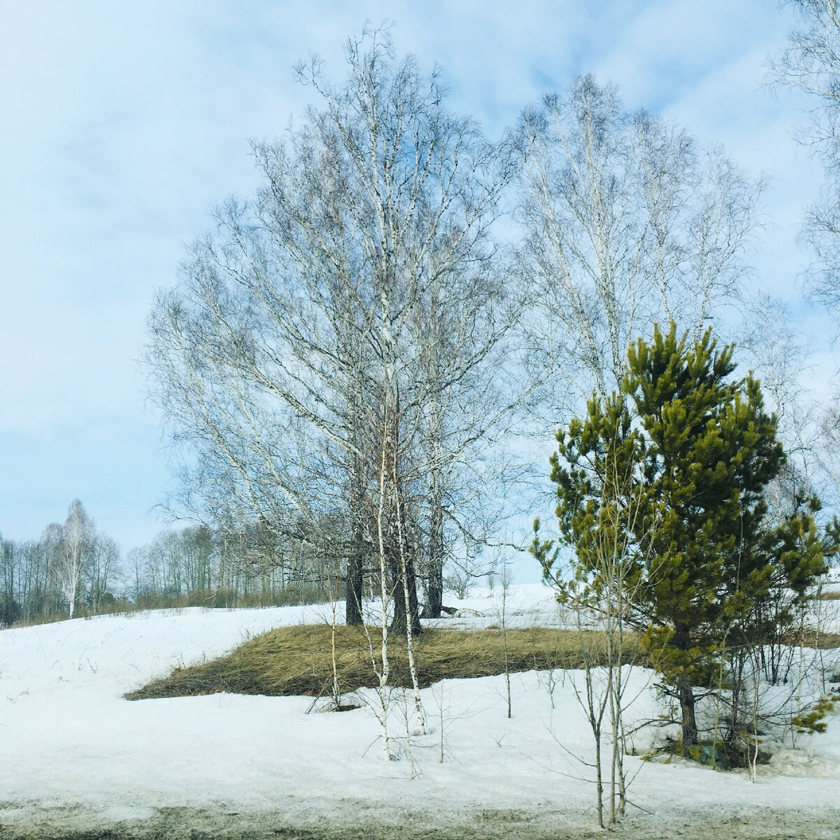Скоро пойдут подснежники... ;)