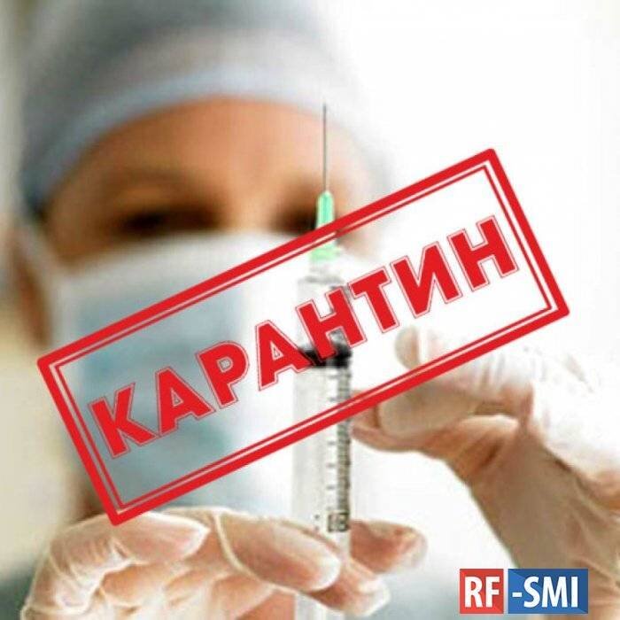 Изображение взято из открытого источника Яндекс.картинки 