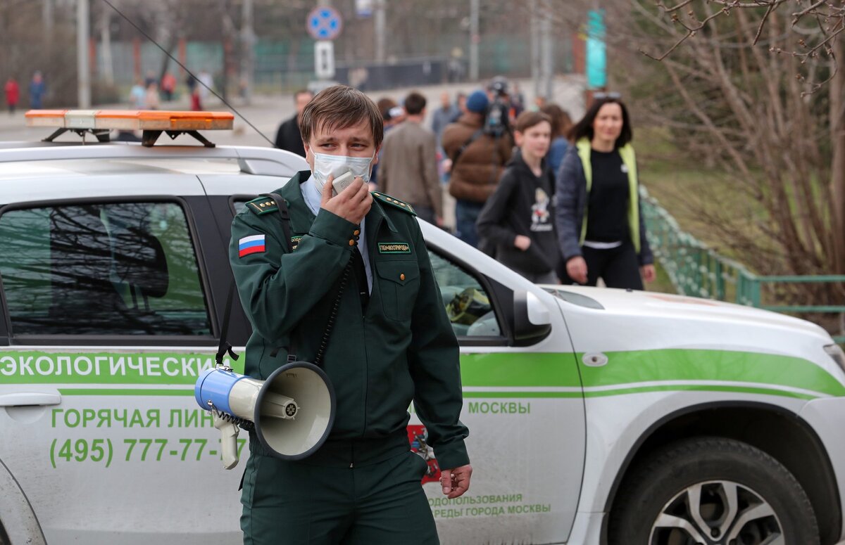 Источник:yandex картинки