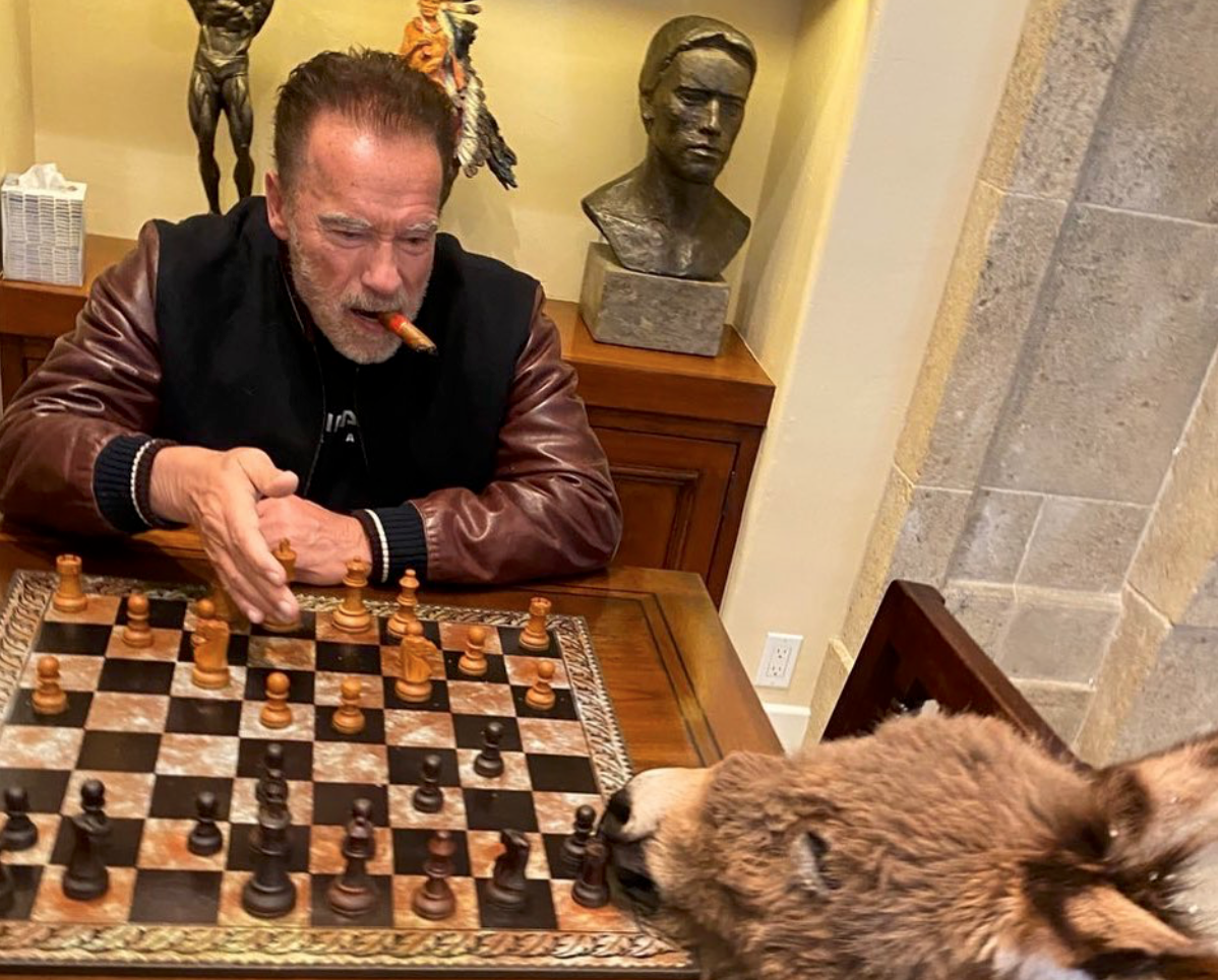 ФОТО: SCHWARZENEGGER / INSTAGRAM